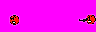 926.gif